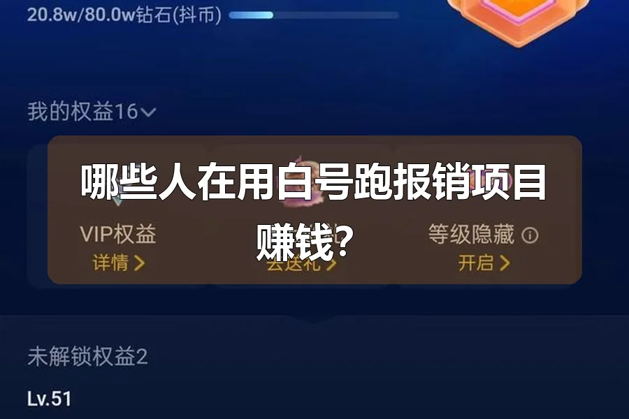 哪些人在用白号跑报销项目赚钱？